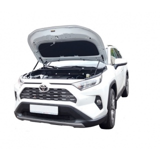 Упоры капота TOYOTA RAV-4 с 2019 года